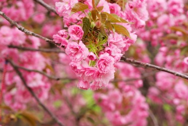 湖州长兴1线下个人借款平台一站式服务，轻松解决资金难题