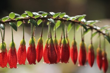 湖州长兴1零用贷短借：轻松解决临时资金需求