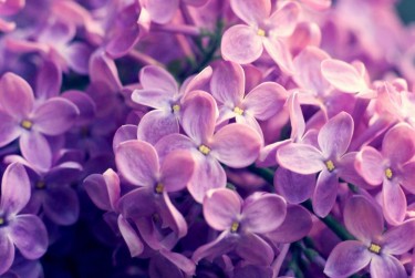 湖州长兴1企业急用钱贷款攻略：快速融资解燃眉之急